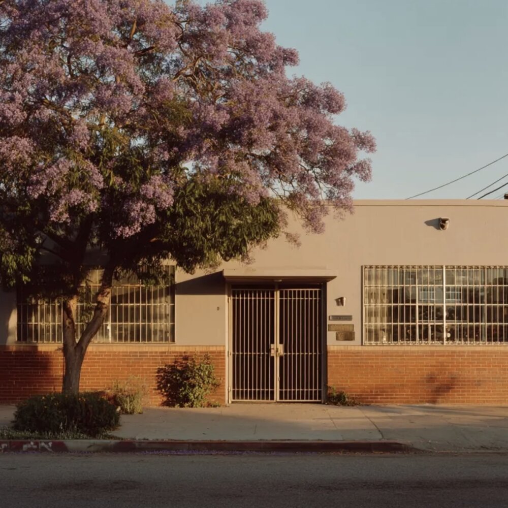 Sample listing 4: 612 Magnolia Way commercial office space